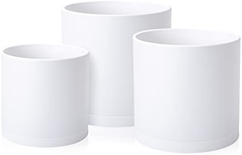 D'vine Dev 3-Pack Plastic Pots & Saucers, 10/12/14 in, White, 74-V-A-6 by DvineDevPlanterPotsandStand