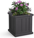Mayne Cape Cod 14in Square Planter - Graphite Grey - 14in x 14in x 14in - Polyethylene - Built-in Water Reservoir (4836-GRG) by Mayne