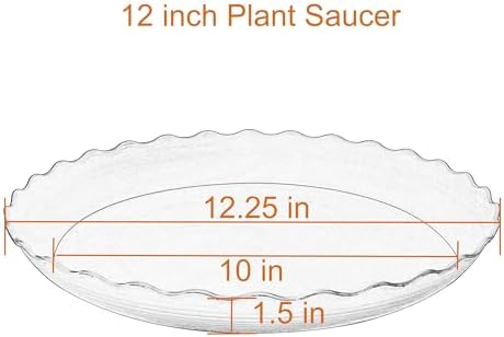 2 Pack of 12 inch Plant Saucer Plant Tray, Plastic Plant Saucer, Heavy Duty Plant Tray for Pots, Plant Saucers for Indoors Planter, Garden Water Plate Bowls for Gallon Grow Bags (Black) - Image 2