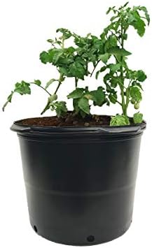 Viagrow 5 Gallon BPA Free Nursery Pots (12 Pack, 5 Gallon Plus) - Image 5
