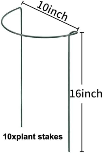 TCBWFY 10 Pack Garden Plant Support Stakes,10" Widex16 High Heavy Duty Interlinked Half Round Peony Support Ring Cage for Indoor Outdoor Plants,Plant Supports for Peony,Tomato,Hydrangea,Rose - Image 2
