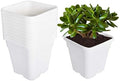 Square Nursery Pots Plant Pots Grow Pots Nursery Container Fit for Planting Soil Plants 0.63 Gallon 10Pcs by Unknown
