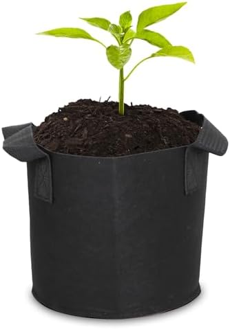 Grow Bags,Growing Pot Bags Garden Grow Bag Indoor Outdoor Fabric Aeration Plant Pot Container Flower Vegetable Pouch (Black,2 Gallon) by RBCFHI