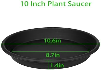 6 Pack Plant Saucer 10 inch, Heavy Duty Plastic Plant Saucers 10 inch, Durable Plant Tray for Pots, Flower Saucers for Indoors, Plant Pot Saucers, Trays for Planter 8"/9"/10" (Black) - Image 2