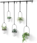 Umbra Triflora Hanging Planter, Window Herb Garden, Set of 5, White/Black by Umbra