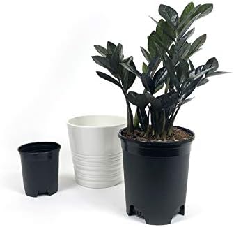 10 Pack Plastic Black Plant Pots Nursery Gardening Planters 4 in to 7.5 Inch Small Medium Plants 0.25 0.35 0.5 1 1.5 Gallon for Indoor and Outdoor Plants - Image 3