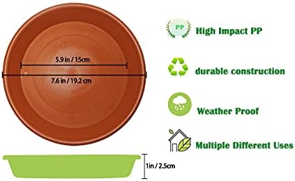 6 Pack 8 inch Plant Saucer Pot Trays, Heavy Durable Thicker Plastic Saucers Plant Trays for Indoor/Outdoor Plants, Fit Pots Within 6” Bottom Diameter, Terracotta - Image 2