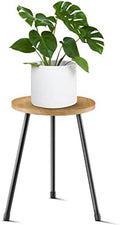 KINNARY Indoor Plant Stand, Mid Century Wood Plant Stand Plant Table for Flower Pots, Tall Metal Plant Holder, Modern Home Decor Small Round Side End Table (11.8"x16") by KINNARY