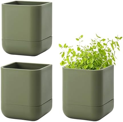 Phoenix Vine 3.5 Inch Wall Mounted Self-Watering Planter Pot for Indoor Houseplants and Herbs | Hanging Planter for Window Sills, Bathroom Walls, Home & Office Décor, Olive, Set of 3, 01-A-F-3 by Phoenix+Vine