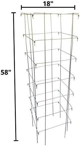 Happy Trees Large Heavy Duty Folding Tomato Cages, 3-Pack, Made in USA - Image 2