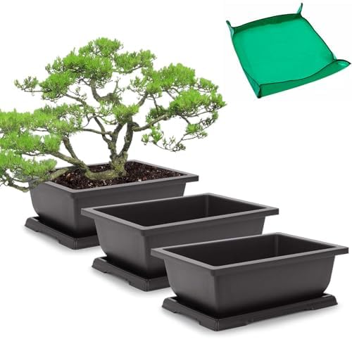 GROWNEER 11 Inch Bonsai Training Pots with Drainage Trays & Repotting Mat by GROWNEER