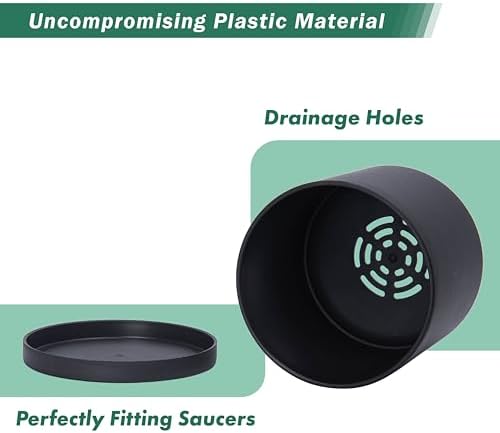 D'vine Dev 2-Pack Black Plastic Planters with Saucers, 5.5 in, 74-Y-H-1 - Image 4