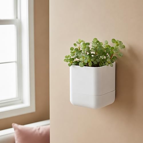 Phoenix Vine 4.5 Inch Wall Mounted Self-Watering Planter Pot for Indoor Houseplants and Herbs | Hanging Planter for Window Sills, Bathroom Walls, Home & Office Décor, White, Set of 1, 01-B-D-1 - Image 2