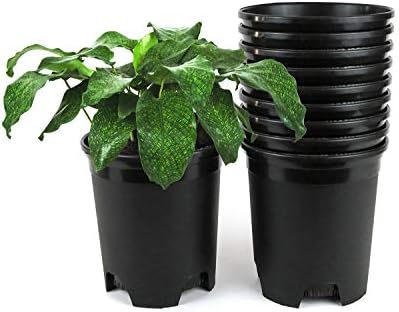 Wholesale Bulk Nursery Pot Black Plastic Planters 30-Pack 1 Gallon Pots for Outdoor Indoor Plants Gardening Flower with Drainage Holes by CottaPlanters