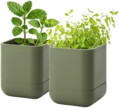Phoenix Vine 3.5 Inch Wall Mounted Self-Watering Planter Pot for Indoor Houseplants and Herbs | Hanging Planter for Window Sills, Bathroom Walls, Home & Office Décor, Olive, Set of 2, 01-A-F-2 by Phoenix+Vine
