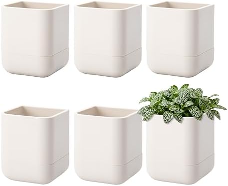 Phoenix Vine 3.5 Inch Wall Mounted Self-Watering Planter Pot for Indoor Houseplants and Herbs | Hanging Planter for Window Sills, Bathroom Walls, Home & Office Décor, Oatmeal, Set of 6, 01-A-G-6 by Phoenix+Vine