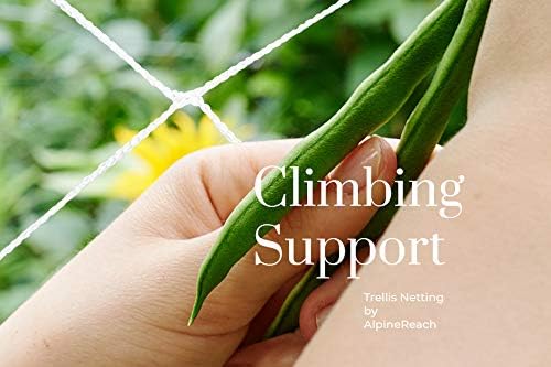AlpineReach Trellis Netting 5 x 350 ft Heavy Duty Polyester White - 6 Inch Mesh Support Twine for Growing High Yield Tomatoes, Peas, Vine Climbing Plants Fruits Vegetables - Image 3