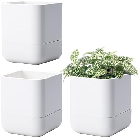 Phoenix Vine 4.5 Inch Wall Mounted Self-Watering Planter Pot for Indoor Houseplants and Herbs | Hanging Planter for Window Sills, Bathroom Walls, Home & Office Décor, White, Set of 3, 01-B-D-3 by Phoenix+Vine