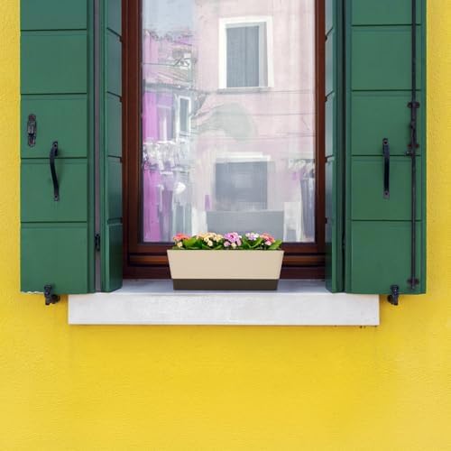 GREANER Planter Windowsill Box, 1 Pack 12x3.8 Inch Herb Rectangle Planter with Tray, Modern Indoor Succulent Cactus Plastic Plant Pot for Windowsill, Garden Balcony, Home Office Outdoor Decoration - Image 4