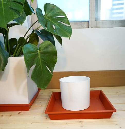 NIMYAU Square Plant Saucer 8 Inch 5 Pack, Plant Stand Plant Trays for Pots Heavy Duty Plastic Plant Saucers for Indoors Outdoors, Flower Pot No Holes Terracotta Plant Lover Gardening Gifts - Image 6