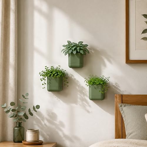 Phoenix Vine 3.5 Inch Wall Mounted Self-Watering Planter Pot for Indoor Houseplants and Herbs | Hanging Planter for Window Sills, Bathroom Walls, Home & Office Décor, Olive, Set of 3, 01-A-F-3 - Image 2