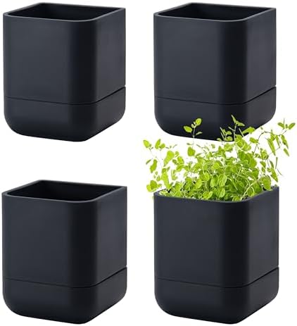 Phoenix Vine 4.5 Inch Wall Mounted Self-Watering Planter Pot for Indoor Houseplants and Herbs | Hanging Planter for Window Sills, Bathroom Walls, Home & Office Décor, Black, Set of 4, 01-B-E-4 by Phoenix+Vine
