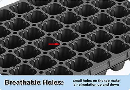 RooTrimmer 10 Pack 200 Cell Seed Starter Trays- Thick Durable Plastic Nursery Flats with Drainage Holes for Seedlings, Propagation, Seed Germination, Fits Shallow 1020 Trays - Image 2