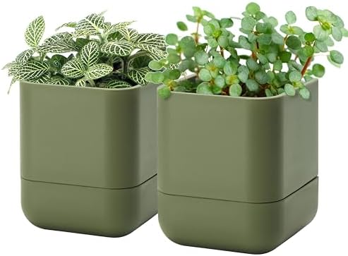 Phoenix Vine 4.5 Inch Wall Mounted Self-Watering Planter Pot for Indoor Houseplants and Herbs | Hanging Planter for Window Sills, Bathroom Walls, Home & Office Décor, Olive, Set of 2, 01-B-F-2 by Phoenix+Vine
