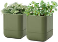 Phoenix Vine 4.5 Inch Wall Mounted Self-Watering Planter Pot for Indoor Houseplants and Herbs | Hanging Planter for Window Sills, Bathroom Walls, Home & Office Décor, Olive, Set of 2, 01-B-F-2 by Phoenix+Vine