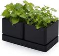 D'vine Dev Herb Garden Planter Set with Saucer, Black, 76-Q-B-1 by DvineDevPlanterPotsandStand