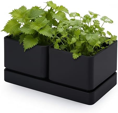 D'vine Dev Herb Garden Planter Set with Saucer, Black, 76-Q-B-1 by DvineDevPlanterPotsandStand