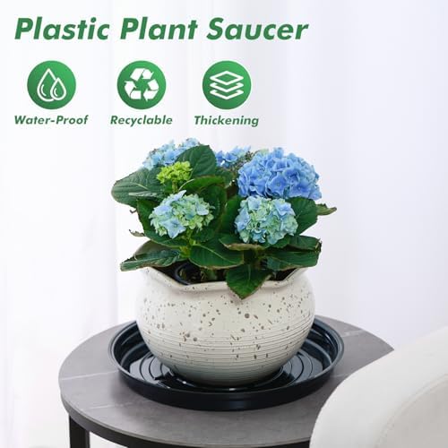 20 Pack 12 Inch Plant Saucer, Large Plastic Plant Saucers for Indoors Outdoor, Black Plant Tray for Pots Plant Water Catcher Tray, Flower Pot Saucers Bulk Plant Drip Trays for Potted Plants - Image 2