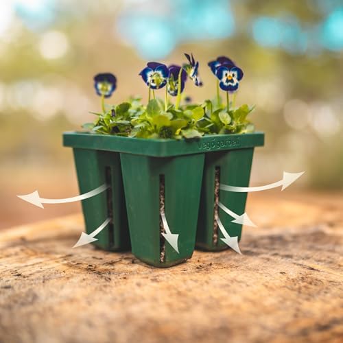 Vego garden Seedling Suite Products, 4 Pack Jumbo Seedling Trays with Seedling Tray Lids and 10" x 10" Bottom Watering Trays - Image 5