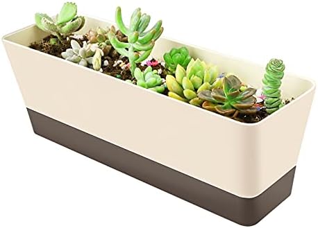 GREANER Planter Windowsill Box, 1 Pack 12x3.8 Inch Herb Rectangle Planter with Tray, Modern Indoor Succulent Cactus Plastic Plant Pot for Windowsill, Garden Balcony, Home Office Outdoor Decoration by GREANER