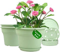 Pottiffe Plant-Pots-Planters-Indoor-Outdoor, 8 inch 4 Pack Green by Pottiffe