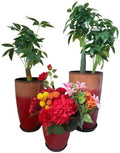 24,21,11 Inch Large Plastic Planters with Drainage Hole and Saucer - Set of 3 Tall Plant Pots Indoor Flower Pot Tall Round Planters Outdoor Large Tall Planter by MinCHI257