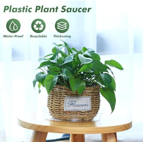 30 Pack Clear Plant Saucers for Indoors (4, 6, 8, 10, 12 inch) Flower Pot Saucers for Potted Plants Plant Plate Set Plant Trays for Indoors No Holes Plant Trays for Pots Bulk - Image 2