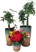 24,21,11 Inch Large Plastic Planters with Drainage Hole and Saucer - Set of 3 Tall Plant Pots Indoor Flower Pot Tall Round Planters Outdoor Large Tall Planter by MinCHI257