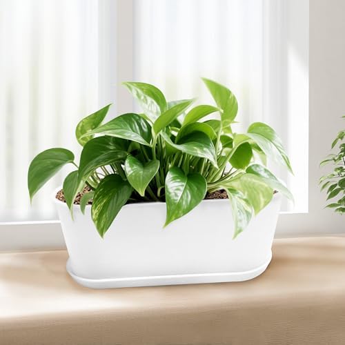5 Set Window Herb Planter Box Rectangular,8.5x3.5 Inch White Plastic Planters with Multiple Drainage Holes and Trays,Indoor Succulent Cactus Mint Flower Pot for Windowsill,Garden Balcony - Image 5