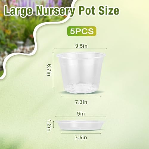 10 Inch Clear Nursery Pots with Drainage and Saucers, 5 Pack Large Clear Plastic Nursery Pots for Plants, Seedling Plant Pots for Repotting and Growing Plants, Flowers & Vegetables (10 inch) - Image 2
