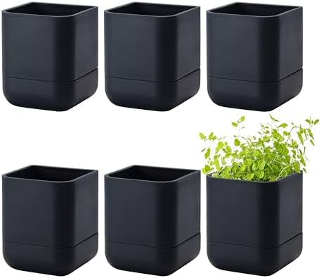 Phoenix Vine 3.5 Inch Wall Mounted Self-Watering Planter Pot for Indoor Houseplants and Herbs | Hanging Planter for Window Sills, Bathroom Walls, Home & Office Décor, Black, Set of 6, 01-A-E-6 by Phoenix+Vine