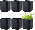 Phoenix Vine 3.5 Inch Wall Mounted Self-Watering Planter Pot for Indoor Houseplants and Herbs | Hanging Planter for Window Sills, Bathroom Walls, Home & Office Décor, Black, Set of 6, 01-A-E-6 by Phoenix+Vine