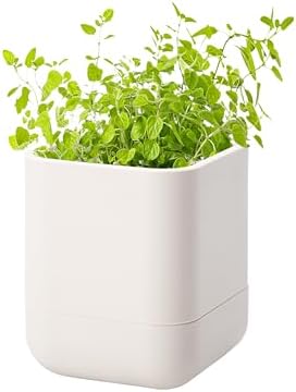 Phoenix Vine 3.5 Inch Wall Mounted Self-Watering Planter Pot for Indoor Houseplants and Herbs | Hanging Planter for Window Sills, Bathroom Walls, Home & Office Décor, Oatmeal, Set of 1, 01-A-G-1 by Phoenix+Vine