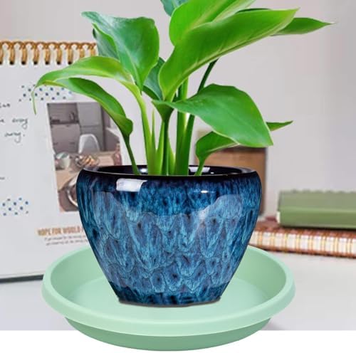 NIMYAU Plastic Plant Saucers 10 Inch Round Pack of 2 Thick Reusable Drip Trays for Indoor Outdoor Plants - Image 3