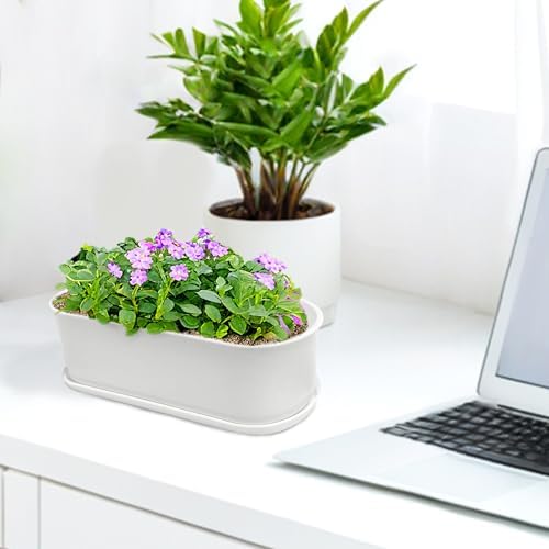 5 Set Window Herb Planter Box Rectangular,8.5x3.5 Inch White Plastic Planters with Multiple Drainage Holes and Trays,Indoor Succulent Cactus Mint Flower Pot for Windowsill,Garden Balcony - Image 6