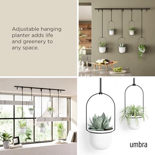 Umbra Triflora Hanging Planter, Window Herb Garden, Set of 5, White/Black - Image 4
