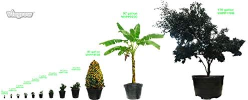 Viagrow 5 Gallon BPA Free Nursery Pots (12 Pack, 5 Gallon Plus) - Image 6