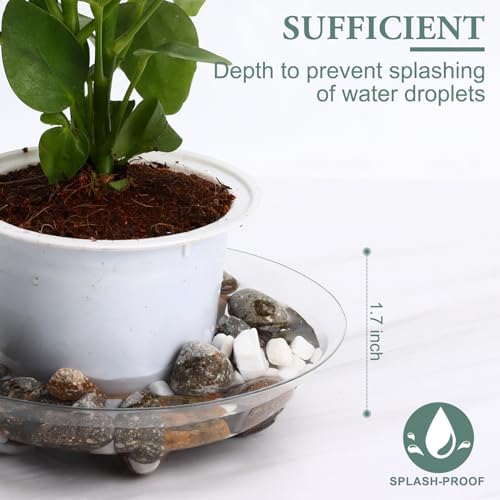 5 Pack 8 inch Heavy Duty Clear Plastic Plant Saucer Sturdy Pot Tray Plant Trays Drip Trays for pots,Plate Water Catcher,Flower Pot Saucer Water Drainage Tray Floor Protector(8") - Image 7