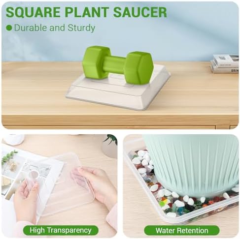 Greaner 6 Inch Square Plant Saucer, 6 PCS Plastic Tray for Pot-Fits Planters Up to 5″ Bottom Diameter, Durable Thick Flower Pot Plant Drip No Holes for Indoor Outdoor Planter(Clear) - Image 3