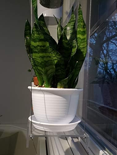 Hanging Acrylic Shelves for Windows (16" Wide, 1 Shelf - 26" Tall) - Image 7